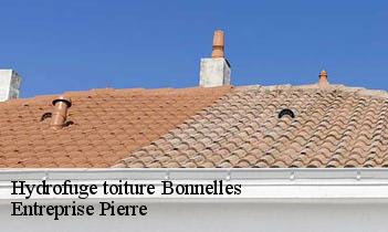 Hydrofuge toiture bonnelles-78830 Entreprise Pierre