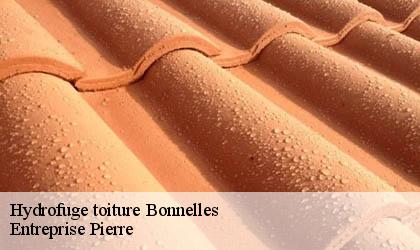 Hydrofuge toiture 78830