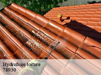 Hydrofuge toiture