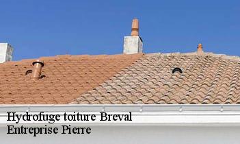 Hydrofuge toiture breval-78980 Entreprise Pierre