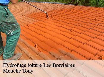 Hydrofuge toiture  les-breviaires-78610 Mouche Tony
