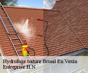 Hydrofuge toiture  brueil-en-vexin-78440 Entreprise H.N