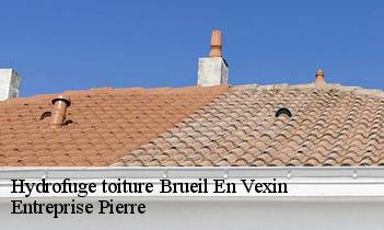 Hydrofuge toiture  brueil-en-vexin-78440 Entreprise Pierre