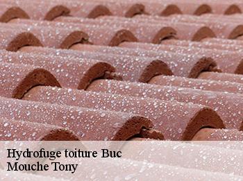 Hydrofuge toiture 78530