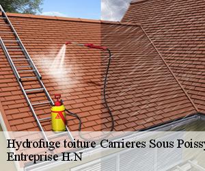 Hydrofuge toiture  carrieres-sous-poissy-78955 Entreprise H.N