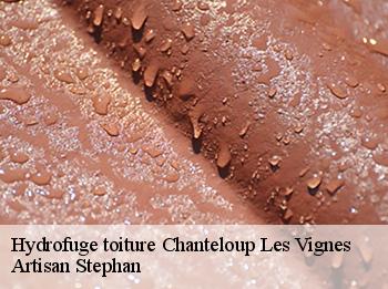 Hydrofuge toiture