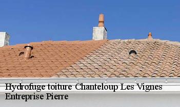 Hydrofuge toiture  chanteloup-les-vignes-78570 Entreprise Pierre