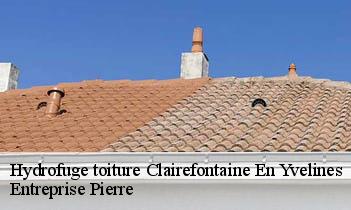 Hydrofuge toiture  clairefontaine-en-yvelines-78120 Entreprise Pierre