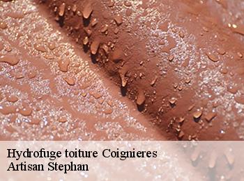 Hydrofuge toiture