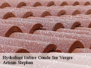 Hydrofuge toiture  78113