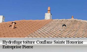 Hydrofuge toiture conflans-sainte-honorine-78700 Entreprise Pierre
