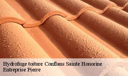 Hydrofuge toiture 78700