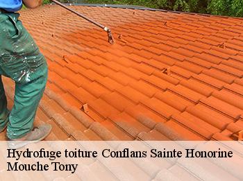 Hydrofuge toiture conflans-sainte-honorine-78700 Mouche Tony