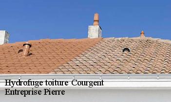 Hydrofuge toiture courgent-78790 Entreprise Pierre