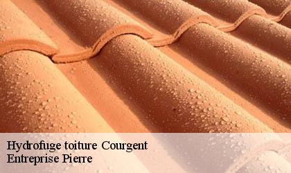 Hydrofuge toiture 78790