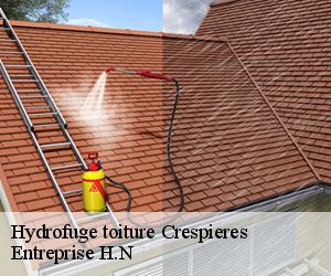 Hydrofuge toiture  crespieres-78121 Entreprise H.N