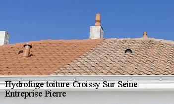 Hydrofuge toiture  croissy-sur-seine-78290 Entreprise Pierre