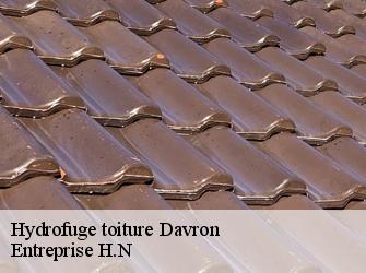 Hydrofuge toiture  78810