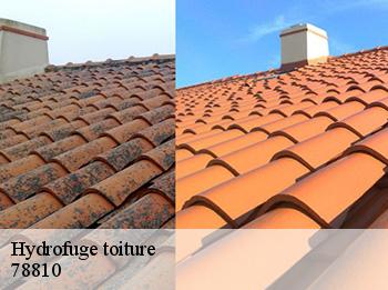 Hydrofuge toiture 78810
