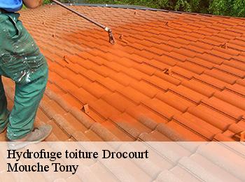 Hydrofuge toiture drocourt-78440 Mouche Tony
