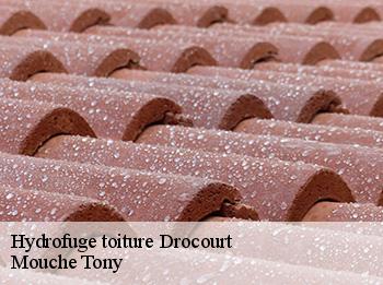 Hydrofuge toiture 78440