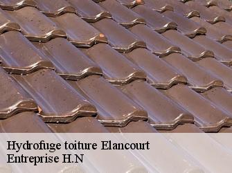 Hydrofuge toiture  78990