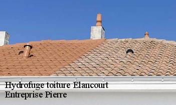 Hydrofuge toiture  elancourt-78990 Entreprise Pierre