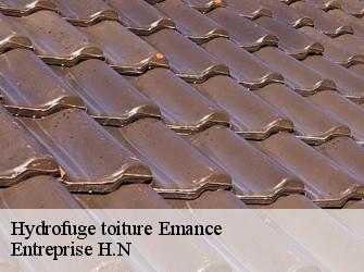 Hydrofuge toiture  78125