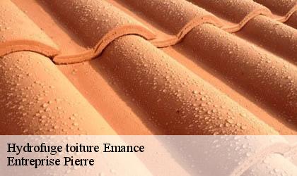 Hydrofuge toiture 78125