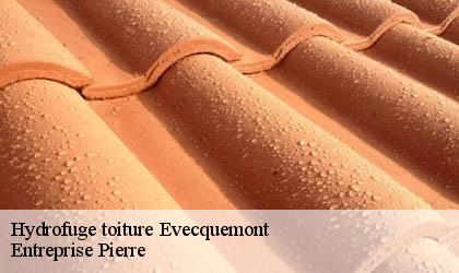 Hydrofuge toiture  78740