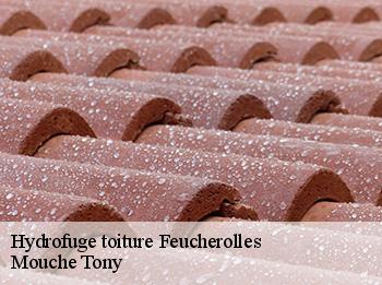 Hydrofuge toiture  78810