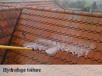 Hydrofuge toiture