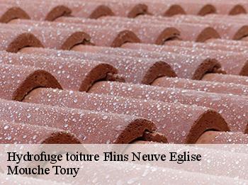 Hydrofuge toiture  78790