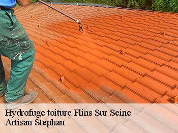 Hydrofuge toiture  flins-sur-seine-78410 Artisan Stephan
