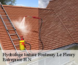 Hydrofuge toiture  fontenay-le-fleury-78330 Entreprise H.N