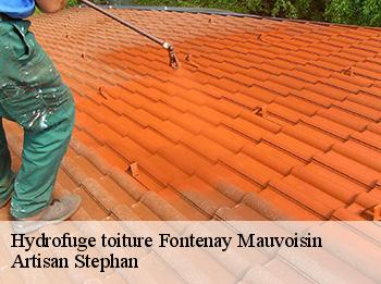 Hydrofuge toiture  fontenay-mauvoisin-78200 Artisan Stephan