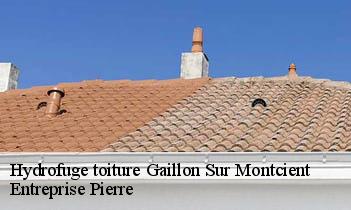 Hydrofuge toiture gaillon-sur-montcient-78250 Entreprise Pierre