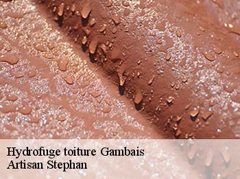 Hydrofuge toiture