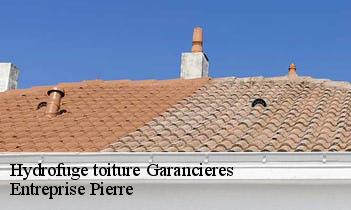 Hydrofuge toiture garancieres-78890 Entreprise Pierre