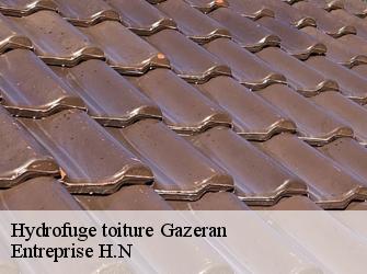 Hydrofuge toiture  78125