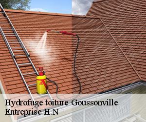 Hydrofuge toiture  goussonville-78930 Entreprise H.N