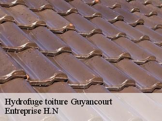 Hydrofuge toiture  78280