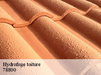 Hydrofuge toiture  78800
