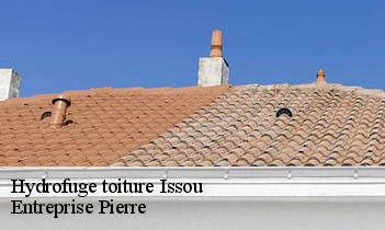 Hydrofuge toiture  issou-78440 Entreprise Pierre