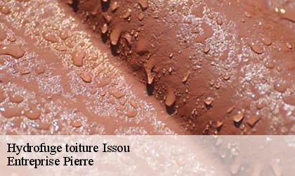 Hydrofuge toiture