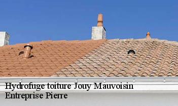 Hydrofuge toiture jouy-mauvoisin-78200 Entreprise Pierre