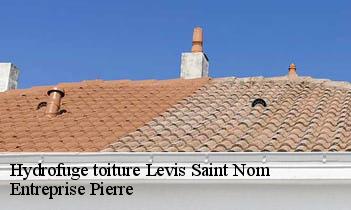 Hydrofuge toiture levis-saint-nom-78320 Entreprise Pierre
