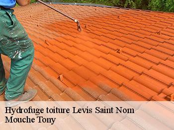 Hydrofuge toiture  levis-saint-nom-78320 Mouche Tony