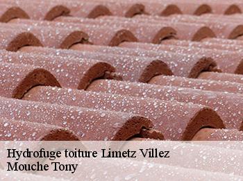 Hydrofuge toiture 78270