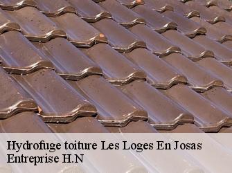 Hydrofuge toiture  78350